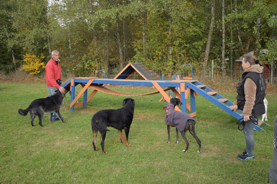 Jetzt wird's spannend.JPG (945 x 630)
